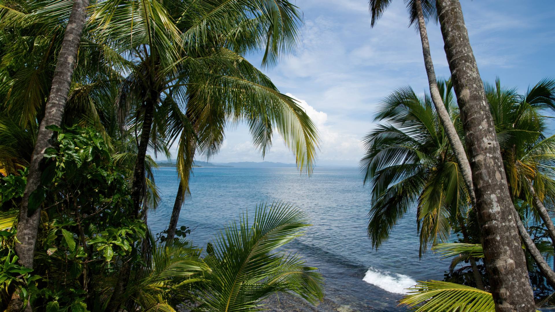 Refugio Nactional Gandoca-Manzanillo